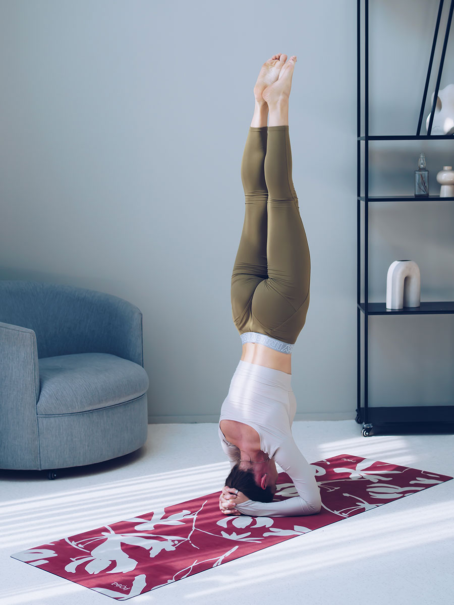 Asana Travel Vanilla